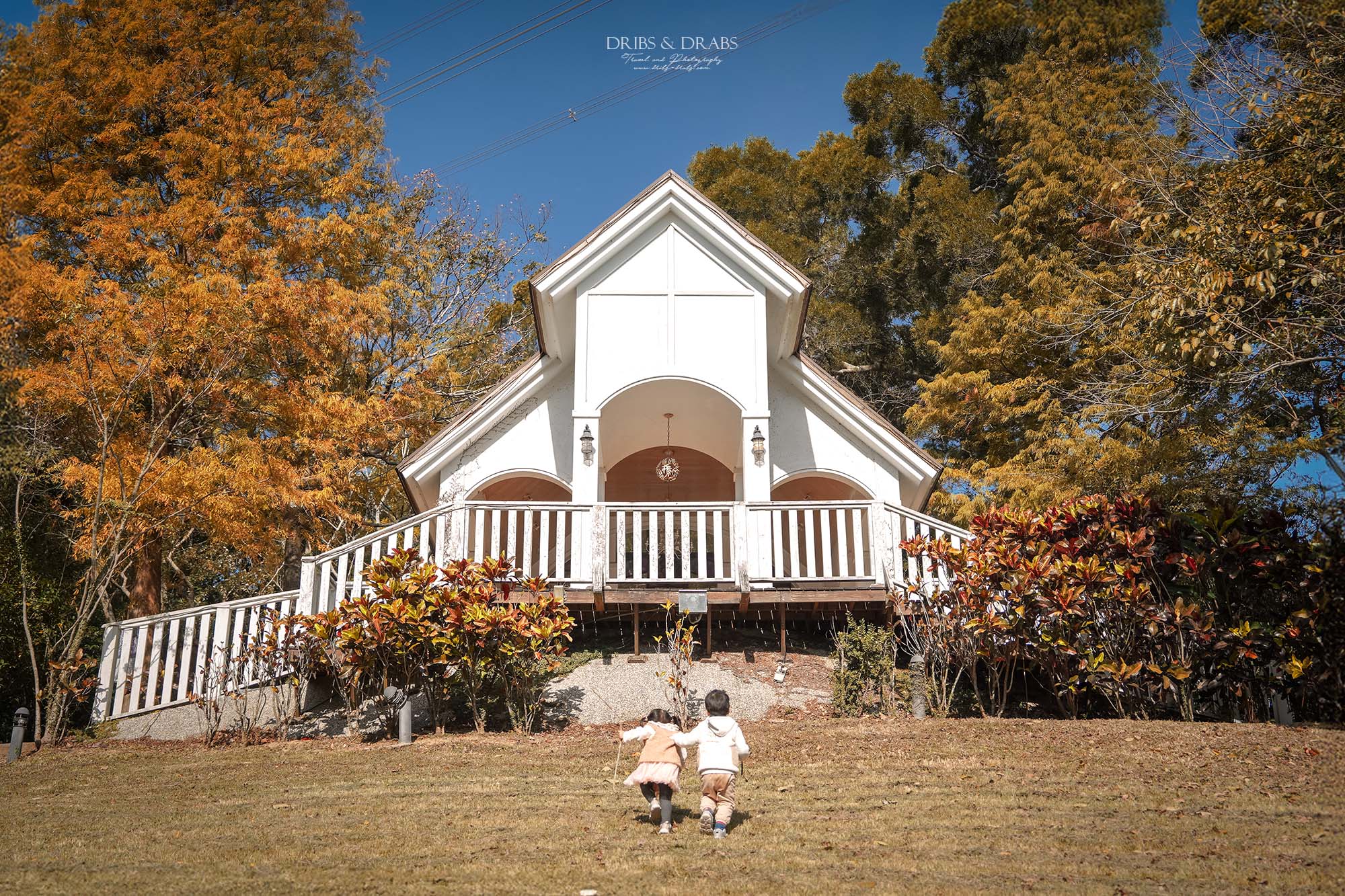 新竹芎林小森之歌｜新竹落羽松景點推薦＋白色教堂草地野餐打卡