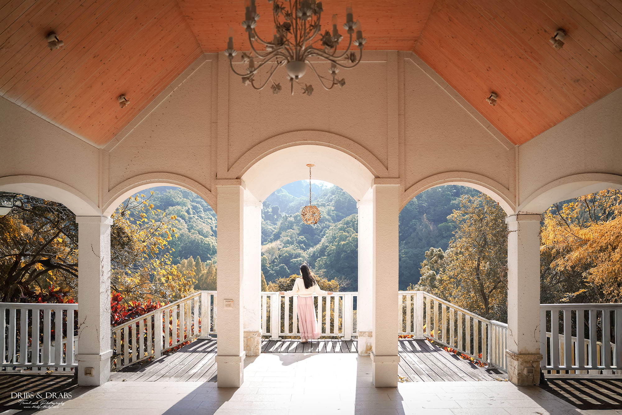 新竹芎林小森之歌｜新竹落羽松景點推薦＋白色教堂草地野餐打卡