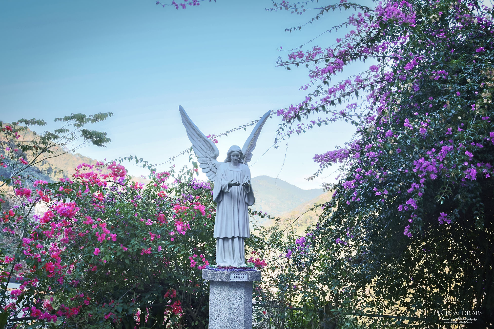 新竹五峰旅遊攻略｜三日遊行程指南：觀霧森林遊憩區,雪霸農場,山上人家, 清泉部落, 白蘭部落