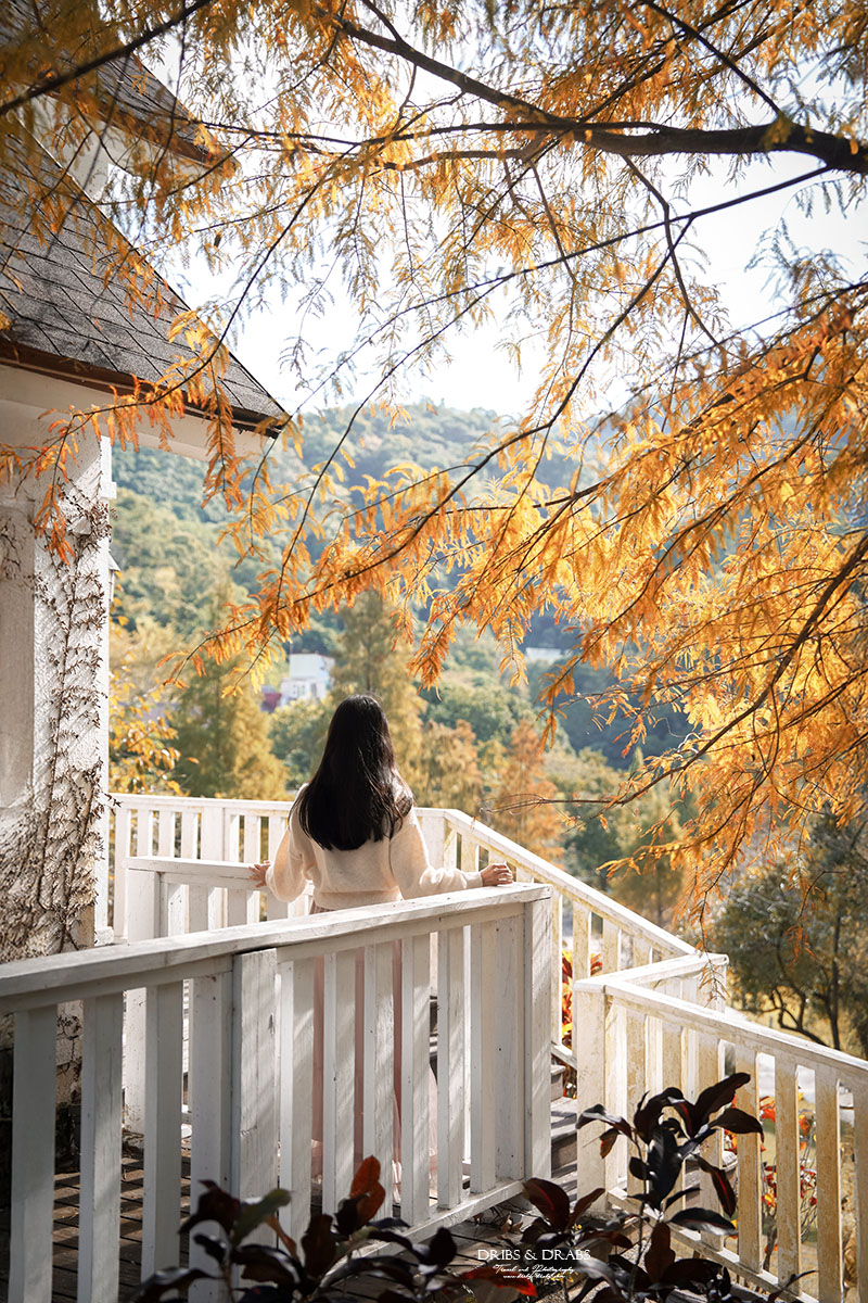 新竹芎林小森之歌｜新竹落羽松景點推薦＋白色教堂草地野餐打卡