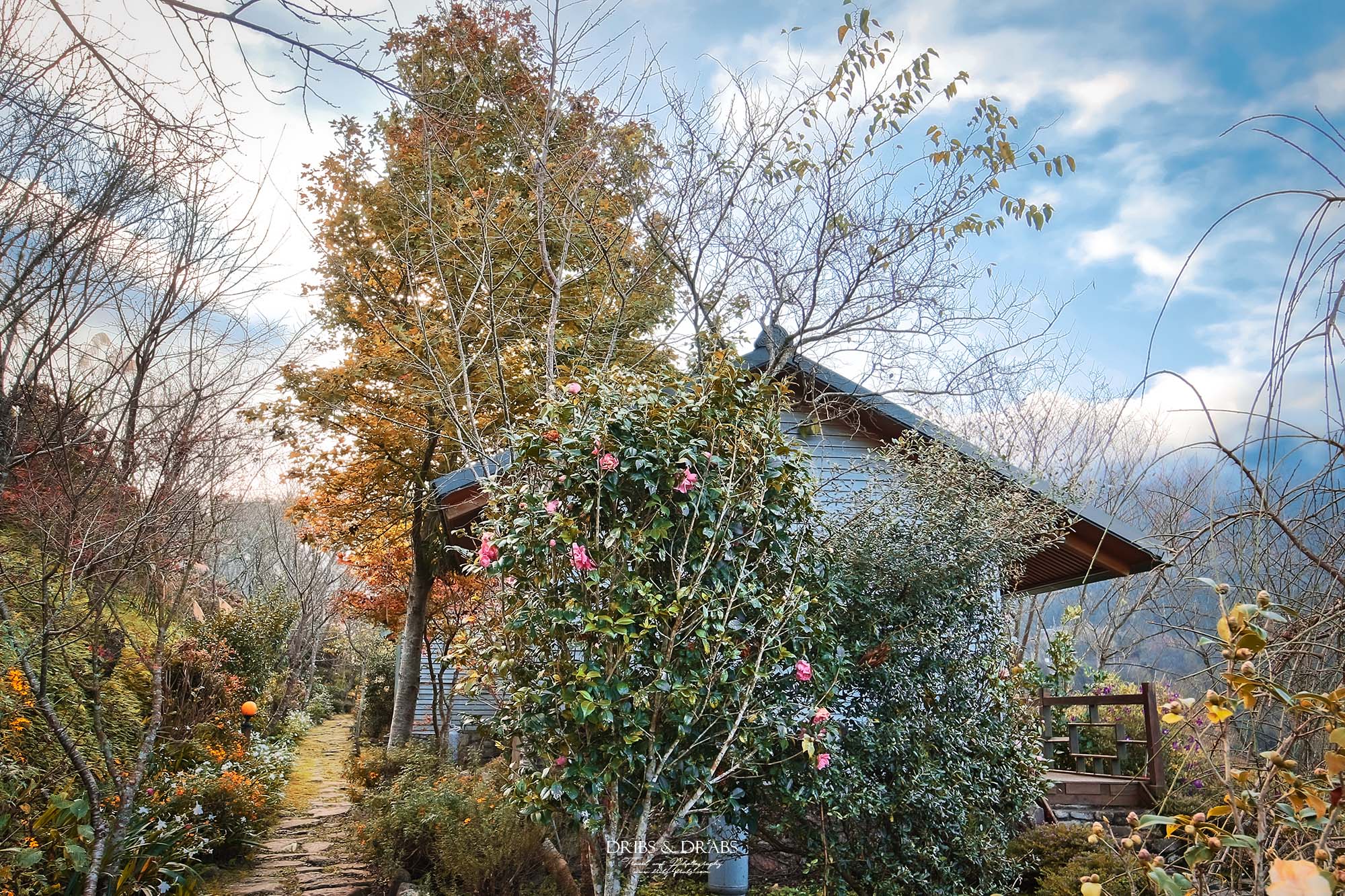 新竹五峰旅遊攻略｜三日遊行程指南：觀霧森林遊憩區,雪霸農場,山上人家, 清泉部落, 白蘭部落