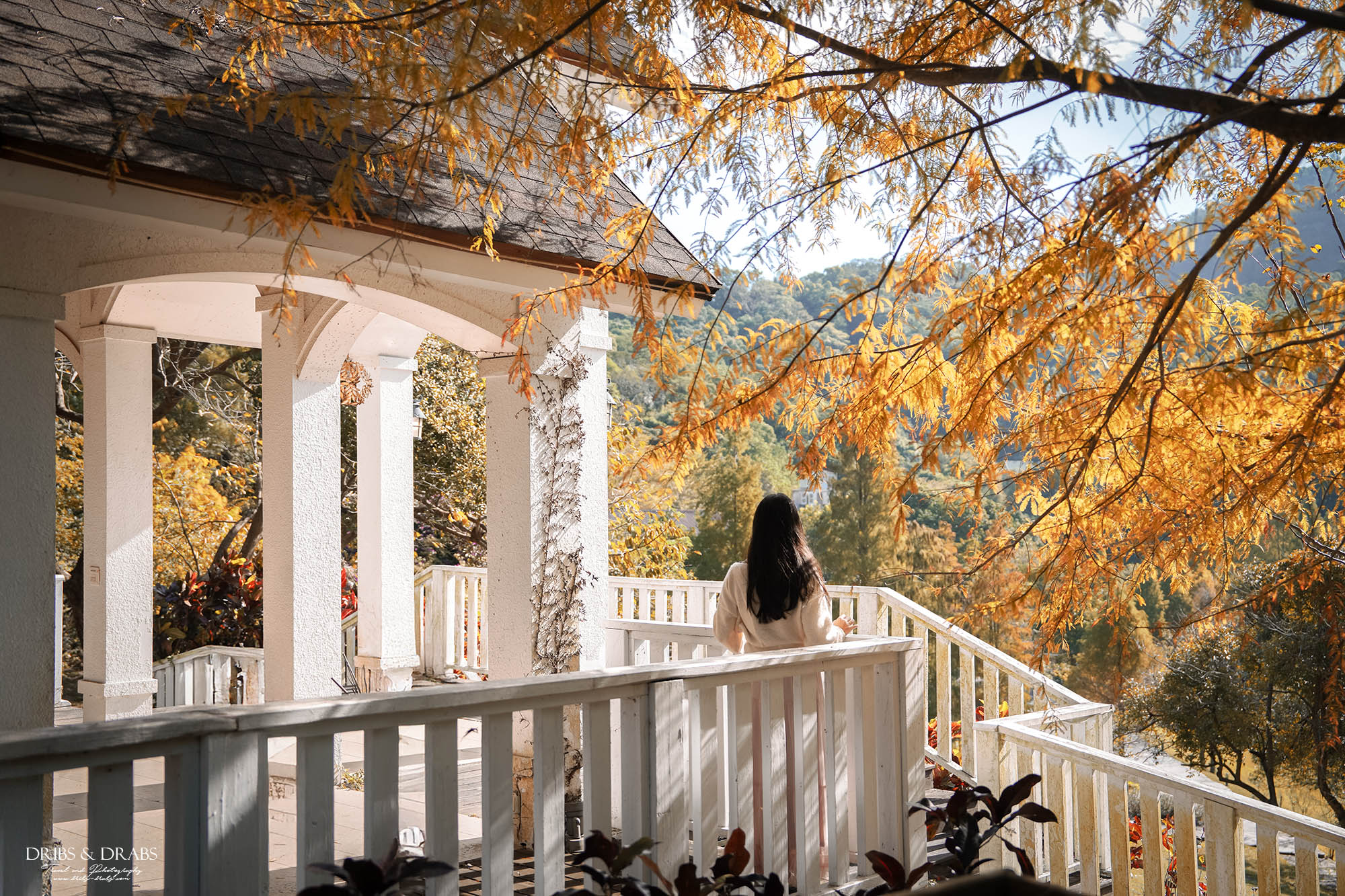 新竹芎林小森之歌｜新竹落羽松景點推薦＋白色教堂草地野餐打卡