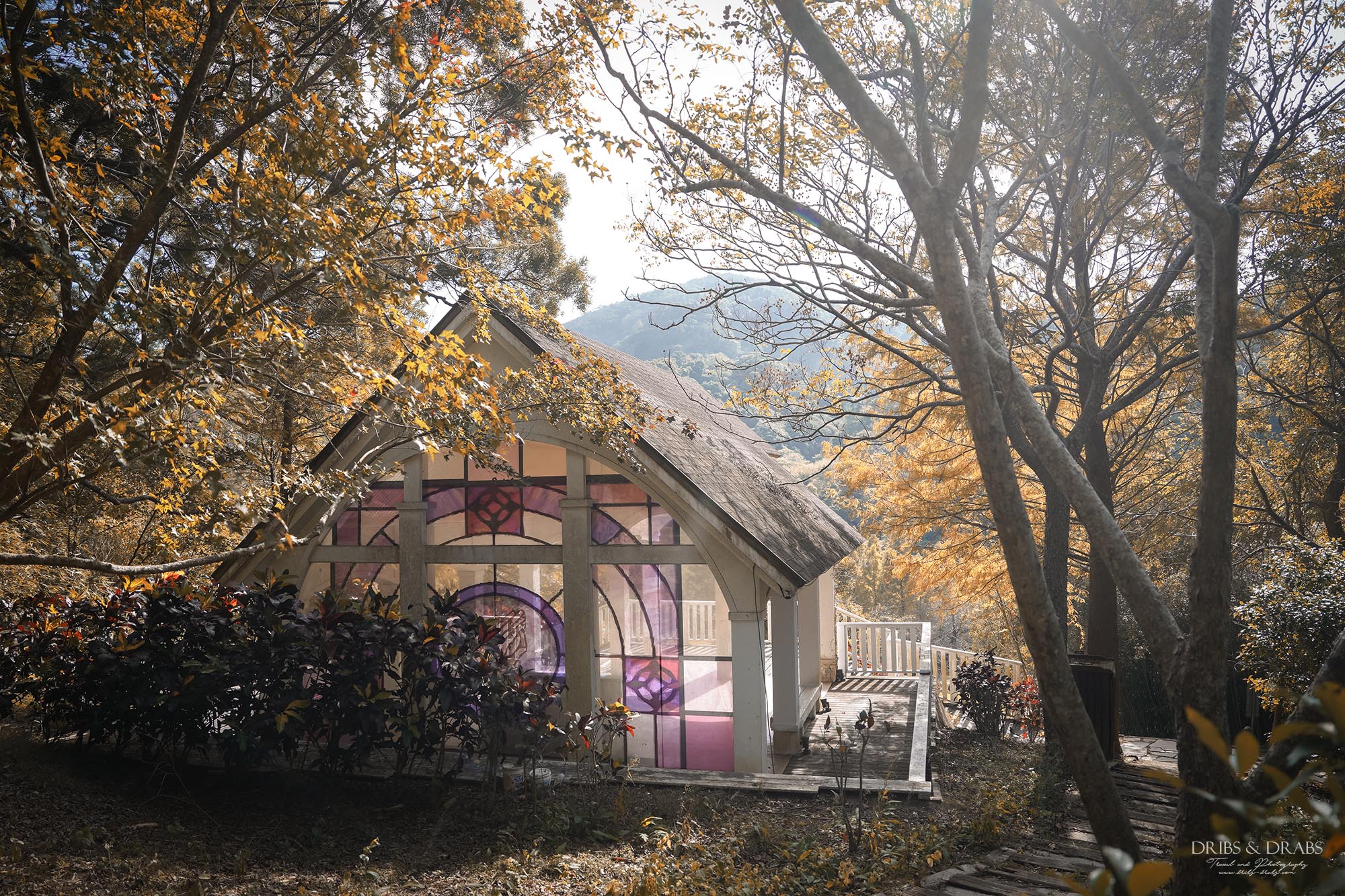 新竹芎林小森之歌｜新竹落羽松景點推薦＋白色教堂草地野餐打卡