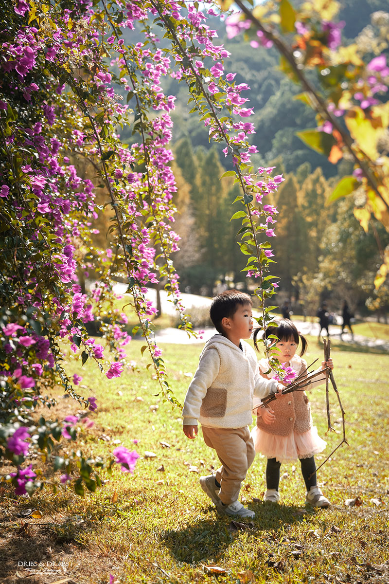 新竹芎林小森之歌｜新竹落羽松景點推薦＋白色教堂草地野餐打卡