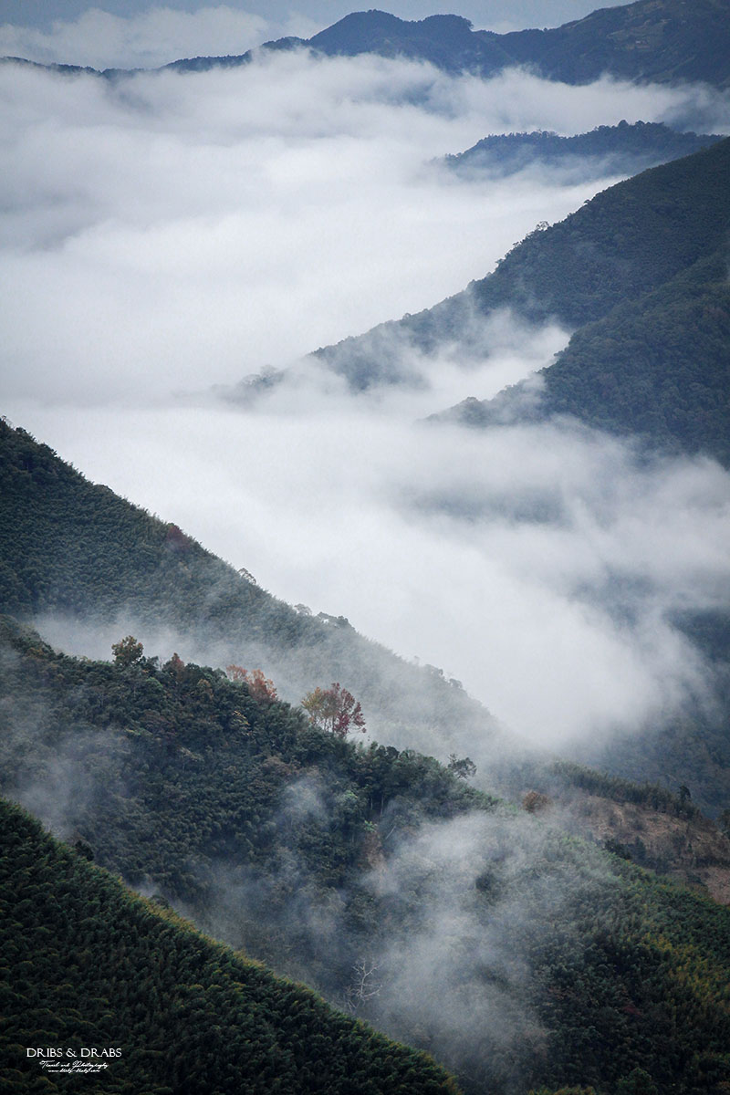 新竹五峰旅遊攻略｜三日遊行程指南：觀霧森林遊憩區,雪霸農場,山上人家, 清泉部落, 白蘭部落