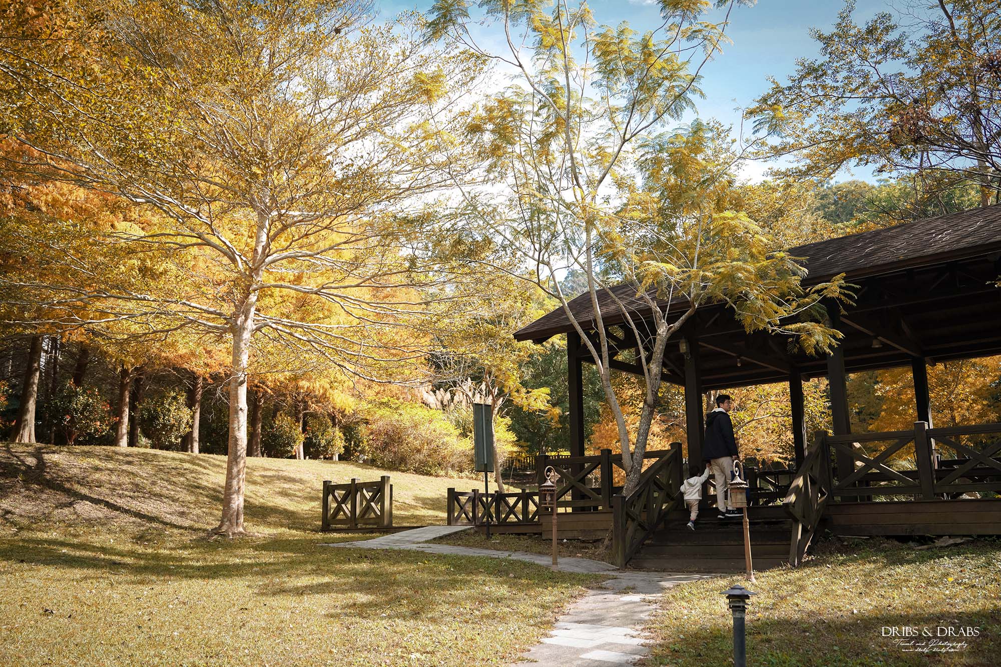 新竹芎林小森之歌｜新竹落羽松景點推薦＋白色教堂草地野餐打卡