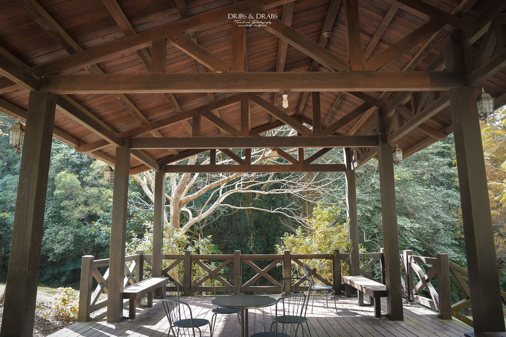 新竹芎林小森之歌｜新竹落羽松景點推薦＋白色教堂草地野餐打卡