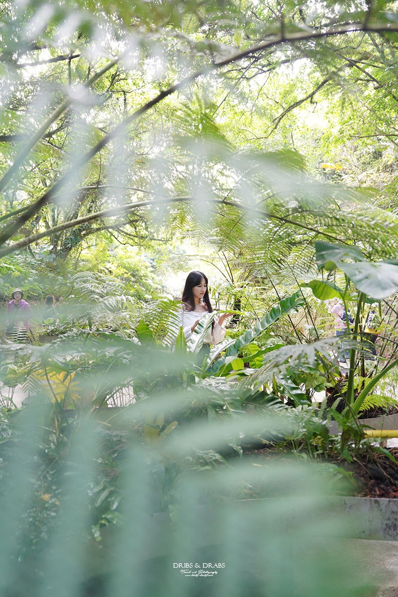 基隆新景點劉銘傳隧道基隆市定古蹟 基隆新景點劉銘傳隧道基隆市定古蹟