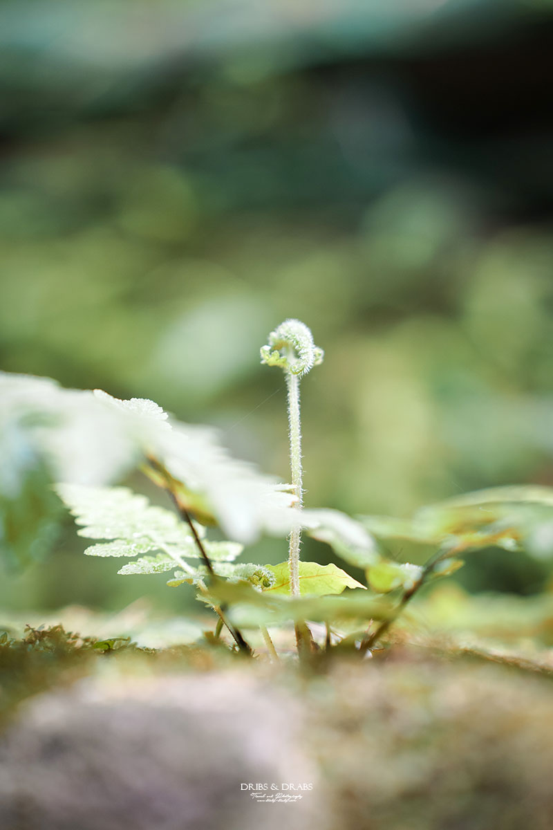 基隆新景點劉銘傳隧道基隆市定古蹟 基隆新景點劉銘傳隧道基隆市定古蹟