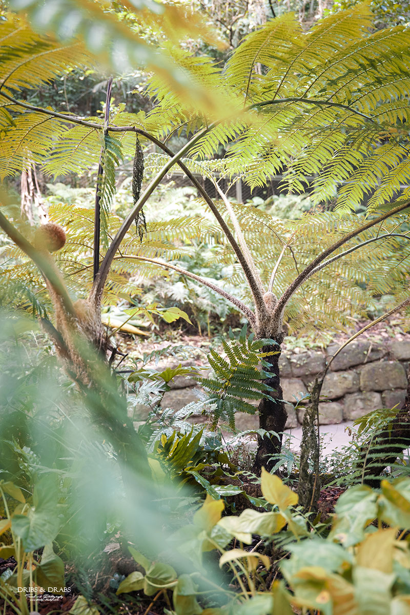 基隆新景點劉銘傳隧道基隆市定古蹟 基隆新景點劉銘傳隧道基隆市定古蹟