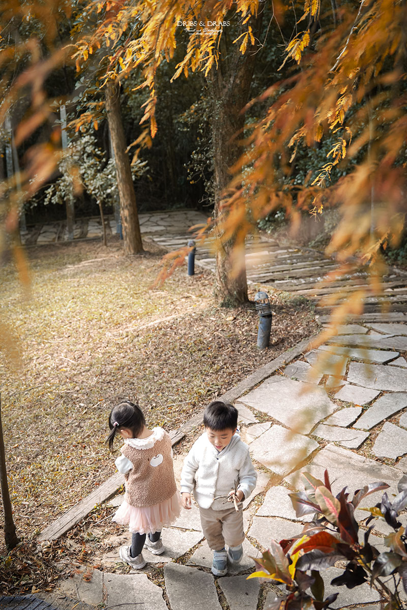 新竹芎林小森之歌｜新竹落羽松景點推薦＋白色教堂草地野餐打卡