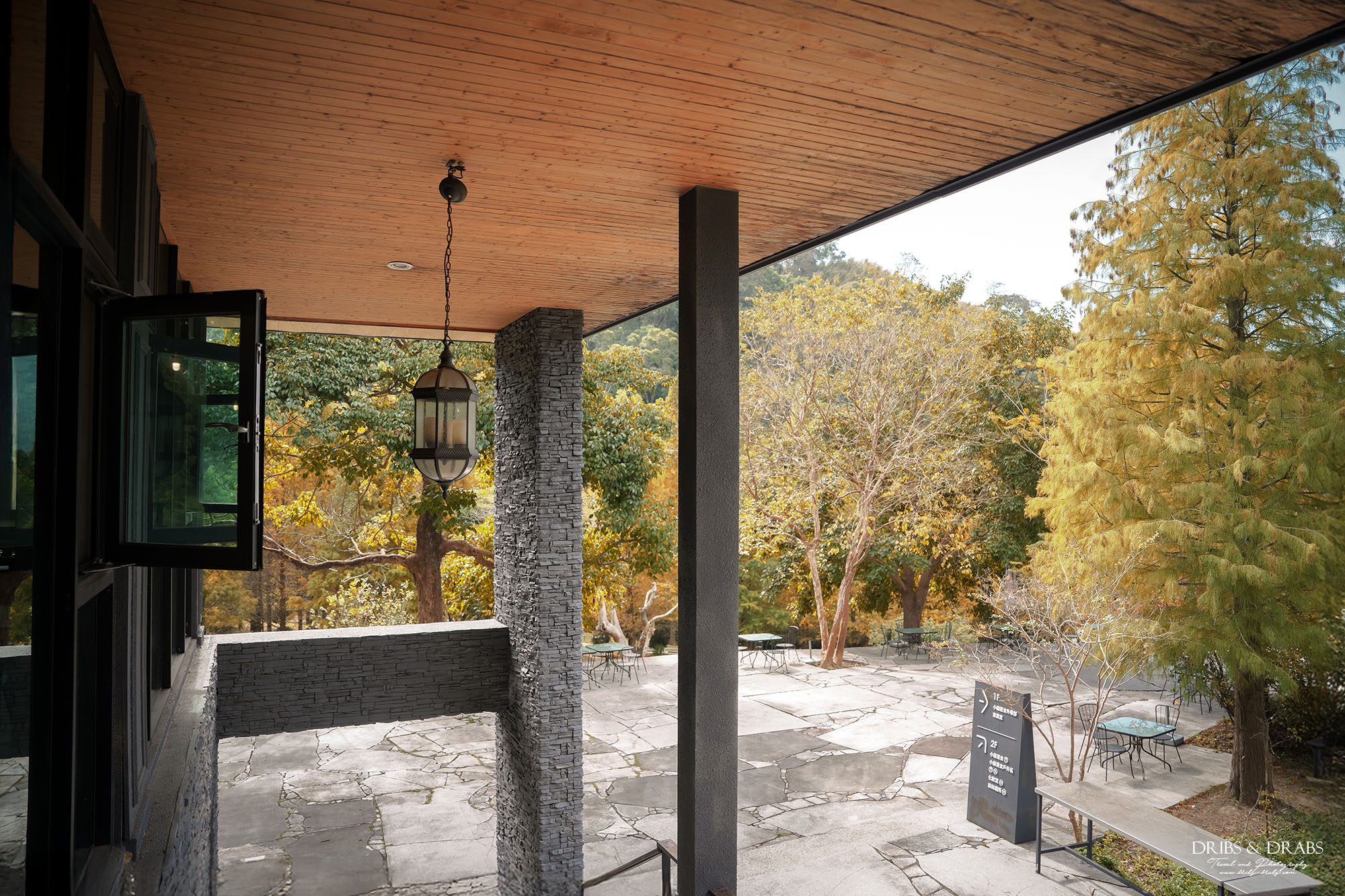 新竹芎林小森之歌｜新竹落羽松景點推薦＋白色教堂草地野餐打卡