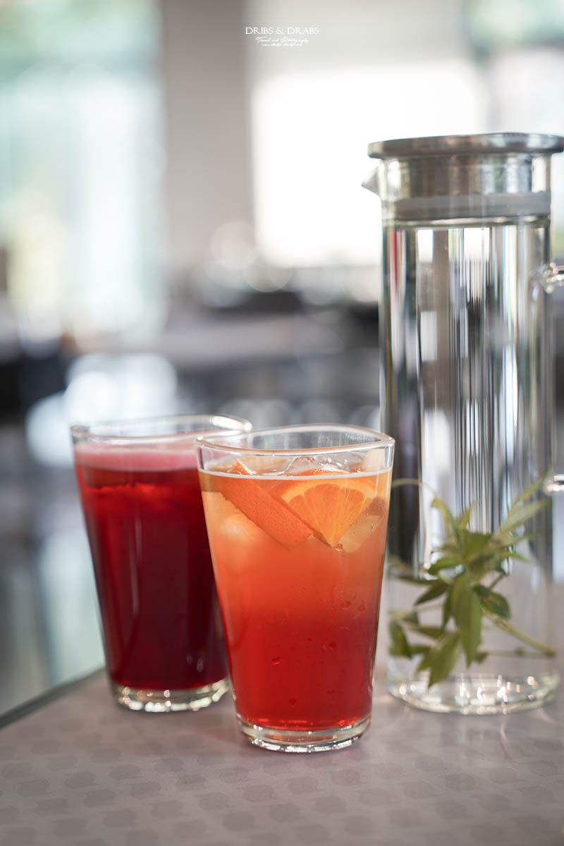 新竹芎林小森之歌｜新竹落羽松景點推薦＋白色教堂草地野餐打卡