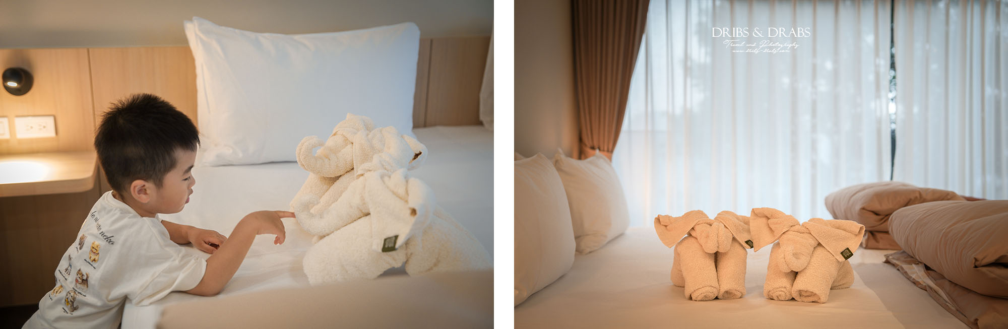 嘉義阿里山住宿推薦｜璦勒芬莊園民宿新開幕，隙頂象山看日出絕佳視野民宿