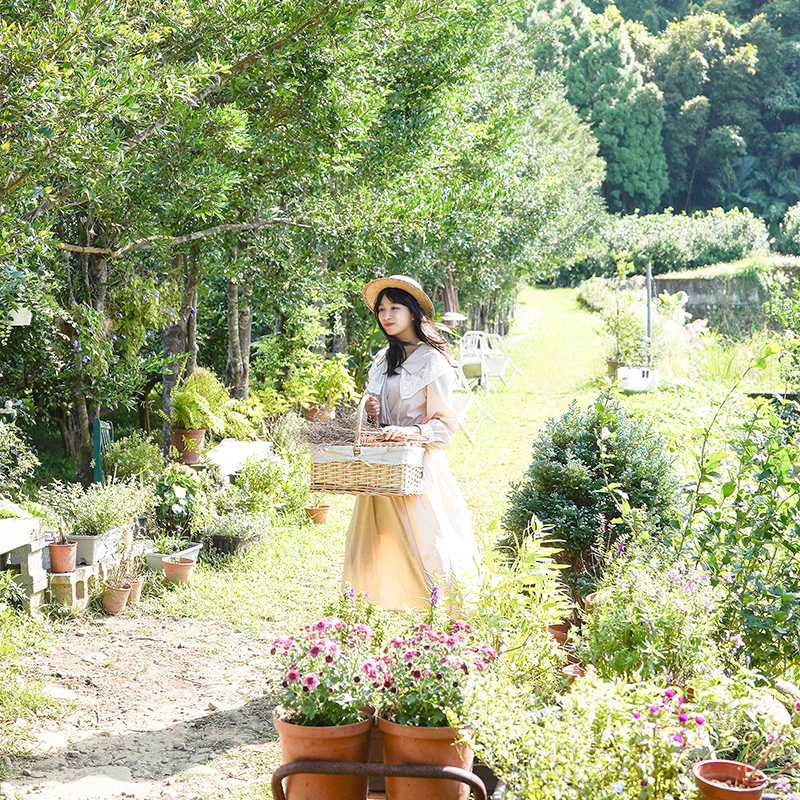 WordPress網站設計版型設計