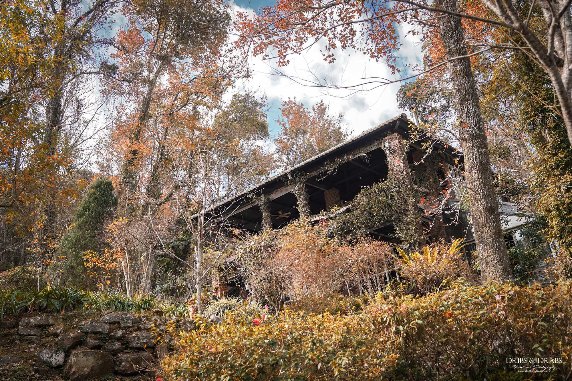 新竹尖石景觀餐廳推薦|拉號花園咖啡廳 (原6號花園) 隱身山林的紅磚玻璃屋,彷彿走進精靈國度 - 第2張圖 新竹尖石景觀餐廳推薦|拉號花園咖啡廳 (原6號花園) 隱身山林的紅磚玻璃屋,彷彿走進精靈國度