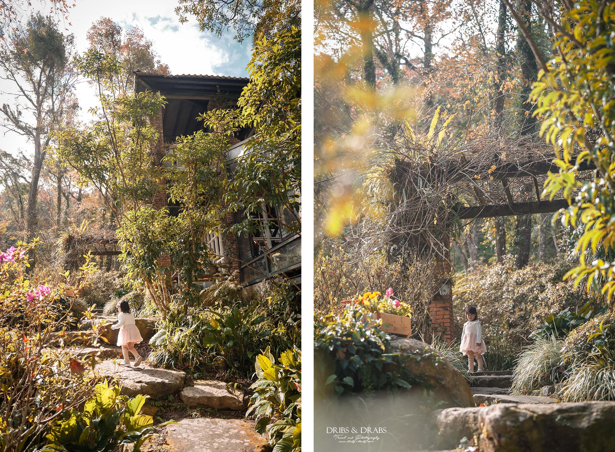 新竹尖石景觀餐廳推薦|拉號花園咖啡廳 (原6號花園) 隱身山林的紅磚玻璃屋,彷彿走進精靈國度 - 第3張圖 新竹尖石景觀餐廳推薦|拉號花園咖啡廳 (原6號花園) 隱身山林的紅磚玻璃屋,彷彿走進精靈國度