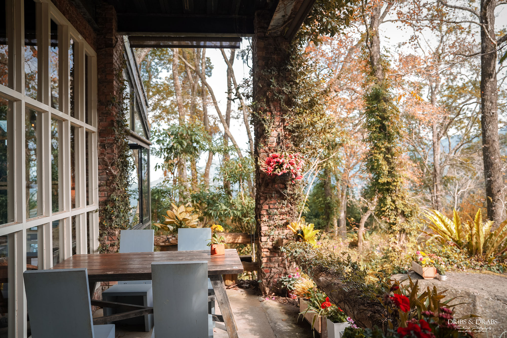 新竹尖石景觀餐廳推薦|拉號花園咖啡廳 (原6號花園) 隱身山林的紅磚玻璃屋,彷彿走進精靈國度 - 第4張圖 新竹尖石景觀餐廳推薦|拉號花園咖啡廳 (原6號花園) 隱身山林的紅磚玻璃屋,彷彿走進精靈國度
