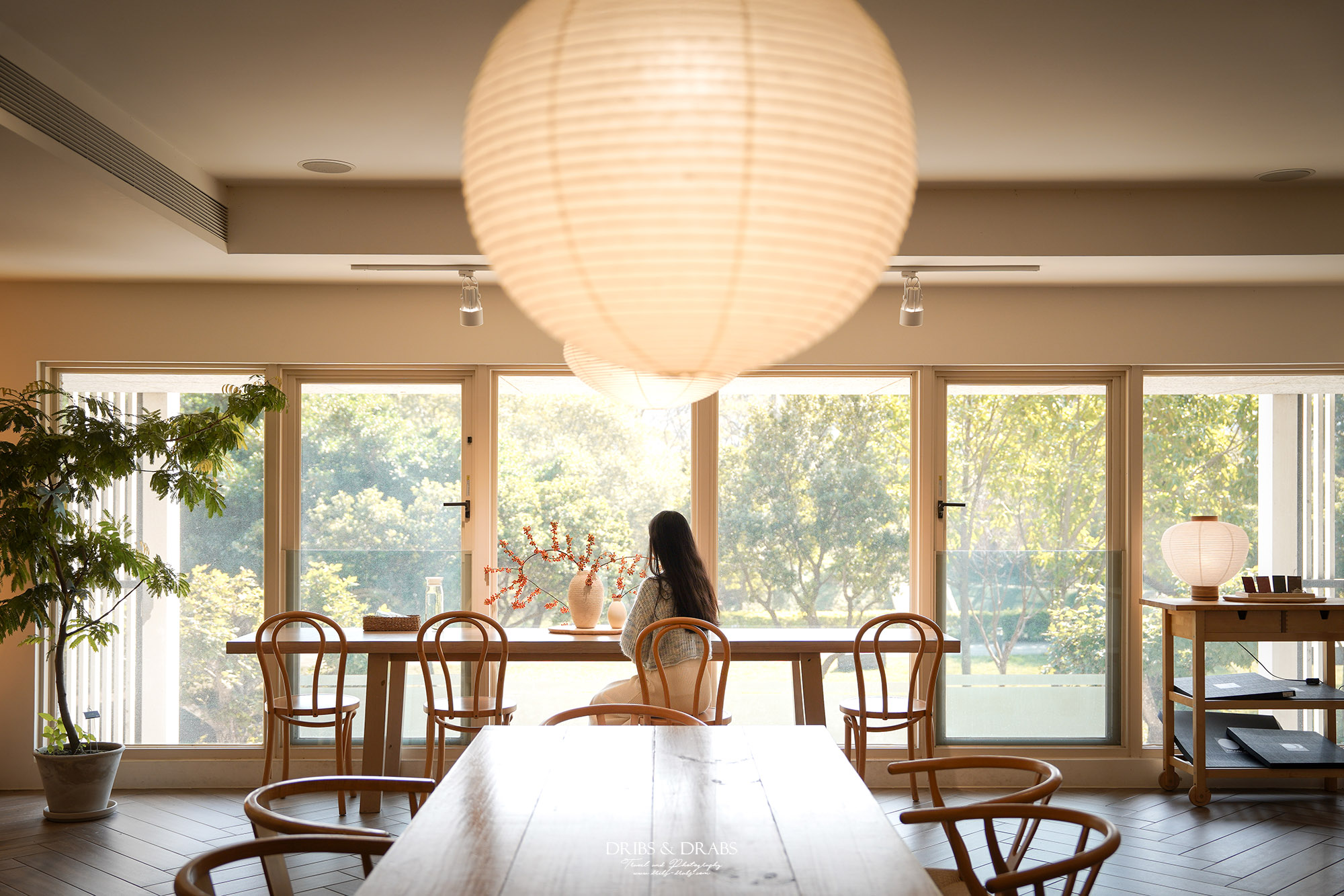 桃園青埔美食｜皿皿新中式定食，近橫山書法藝術館的新開幕餐廳