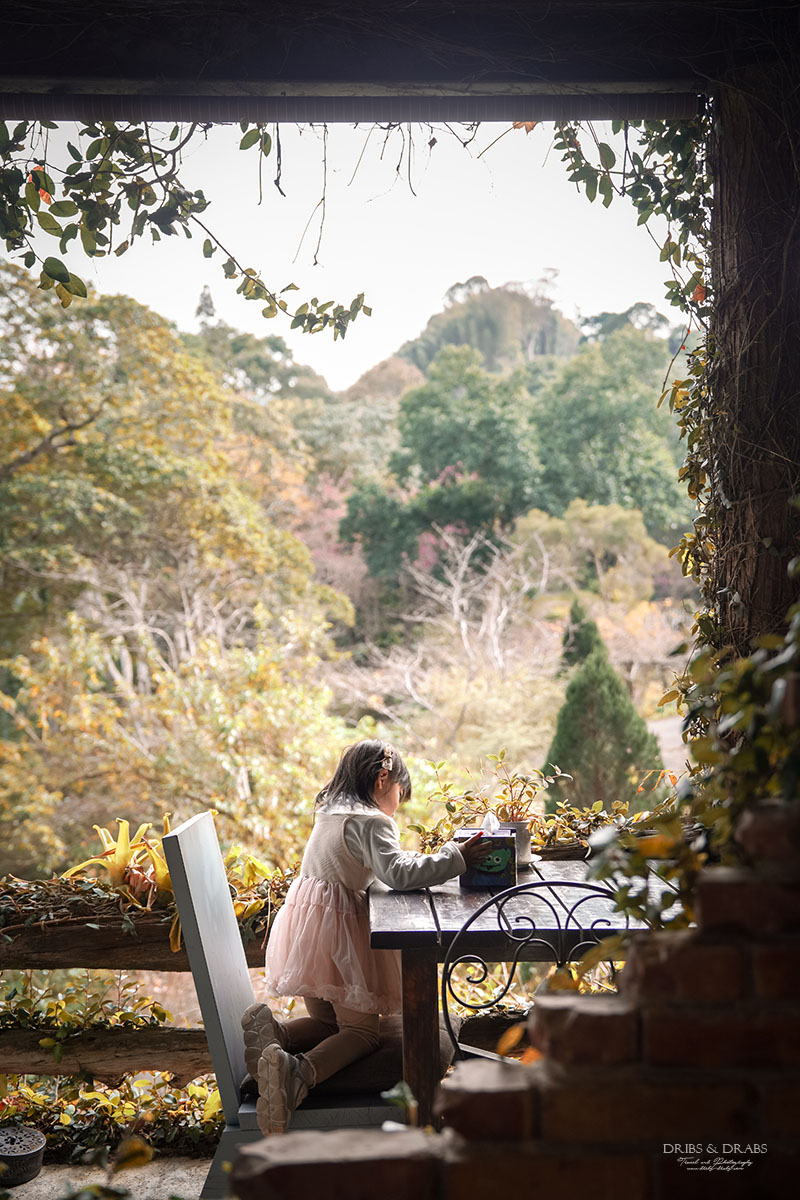 新竹尖石景觀餐廳推薦|拉號花園咖啡廳 (原6號花園) 隱身山林的紅磚玻璃屋,彷彿走進精靈國度 - 第12張圖 新竹尖石景觀餐廳推薦|拉號花園咖啡廳 (原6號花園) 隱身山林的紅磚玻璃屋,彷彿走進精靈國度