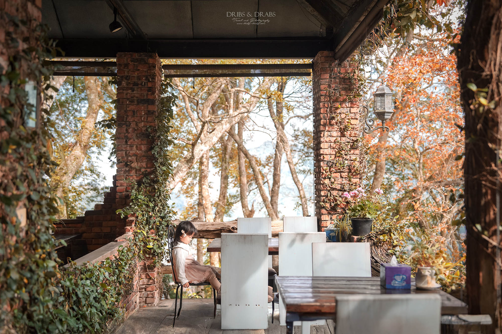 新竹尖石景觀餐廳推薦|拉號花園咖啡廳 (原6號花園) 隱身山林的紅磚玻璃屋,彷彿走進精靈國度 - 第13張圖 新竹尖石景觀餐廳推薦|拉號花園咖啡廳 (原6號花園) 隱身山林的紅磚玻璃屋,彷彿走進精靈國度