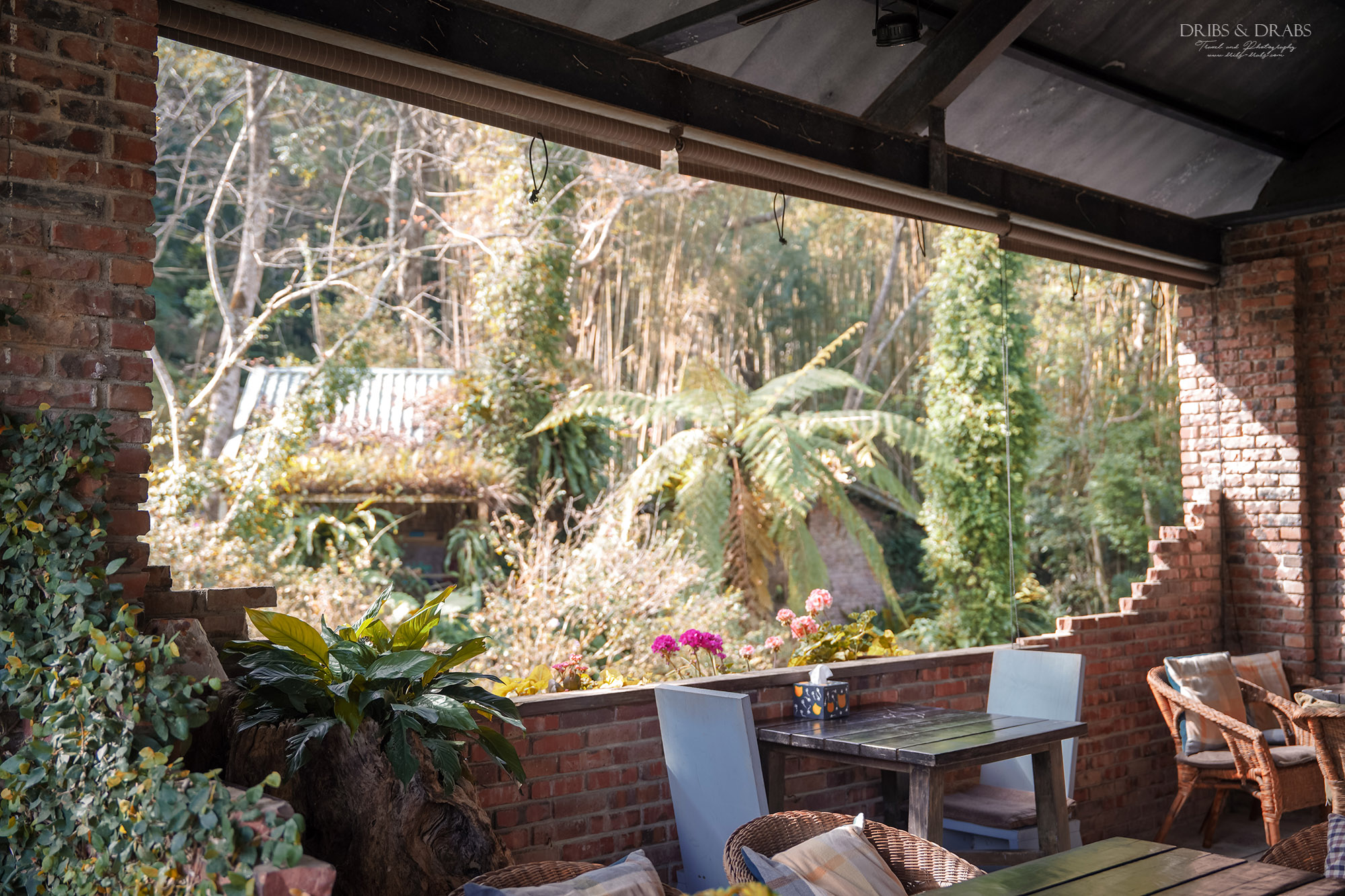 新竹尖石景觀餐廳推薦|拉號花園咖啡廳 (原6號花園) 隱身山林的紅磚玻璃屋,彷彿走進精靈國度 - 第14張圖 新竹尖石景觀餐廳推薦|拉號花園咖啡廳 (原6號花園) 隱身山林的紅磚玻璃屋,彷彿走進精靈國度