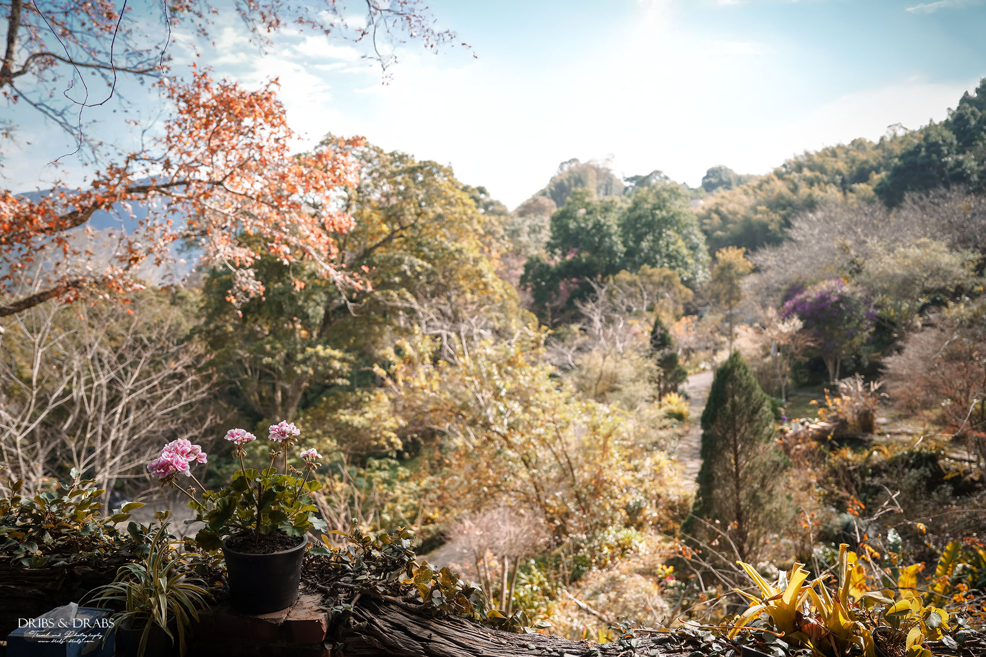 新竹尖石景觀餐廳推薦|拉號花園咖啡廳 (原6號花園) 隱身山林的紅磚玻璃屋,彷彿走進精靈國度 - 第25張圖 新竹尖石景觀餐廳推薦|拉號花園咖啡廳 (原6號花園) 隱身山林的紅磚玻璃屋,彷彿走進精靈國度