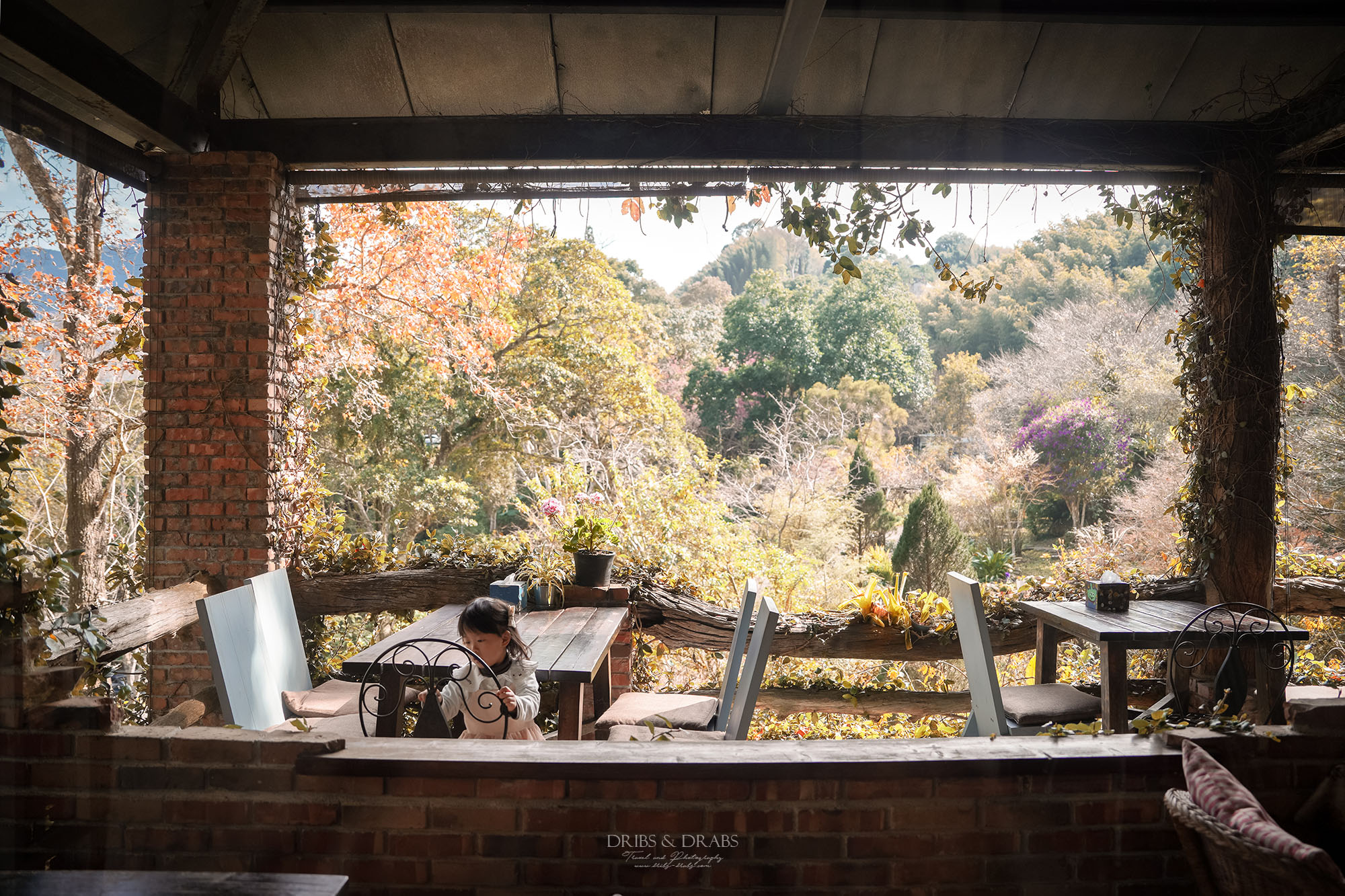 新竹尖石景觀餐廳推薦|拉號花園咖啡廳 (原6號花園) 隱身山林的紅磚玻璃屋,彷彿走進精靈國度 - 第15張圖 新竹尖石景觀餐廳推薦|拉號花園咖啡廳 (原6號花園) 隱身山林的紅磚玻璃屋,彷彿走進精靈國度