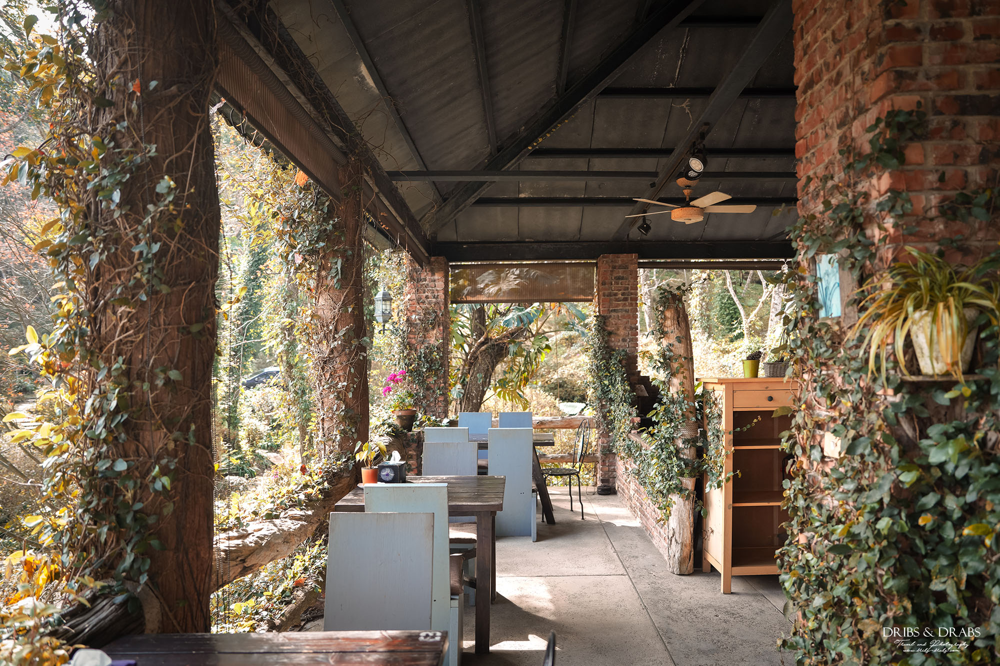 新竹尖石景觀餐廳推薦|拉號花園咖啡廳 (原6號花園) 隱身山林的紅磚玻璃屋,彷彿走進精靈國度 - 第16張圖 新竹尖石景觀餐廳推薦|拉號花園咖啡廳 (原6號花園) 隱身山林的紅磚玻璃屋,彷彿走進精靈國度