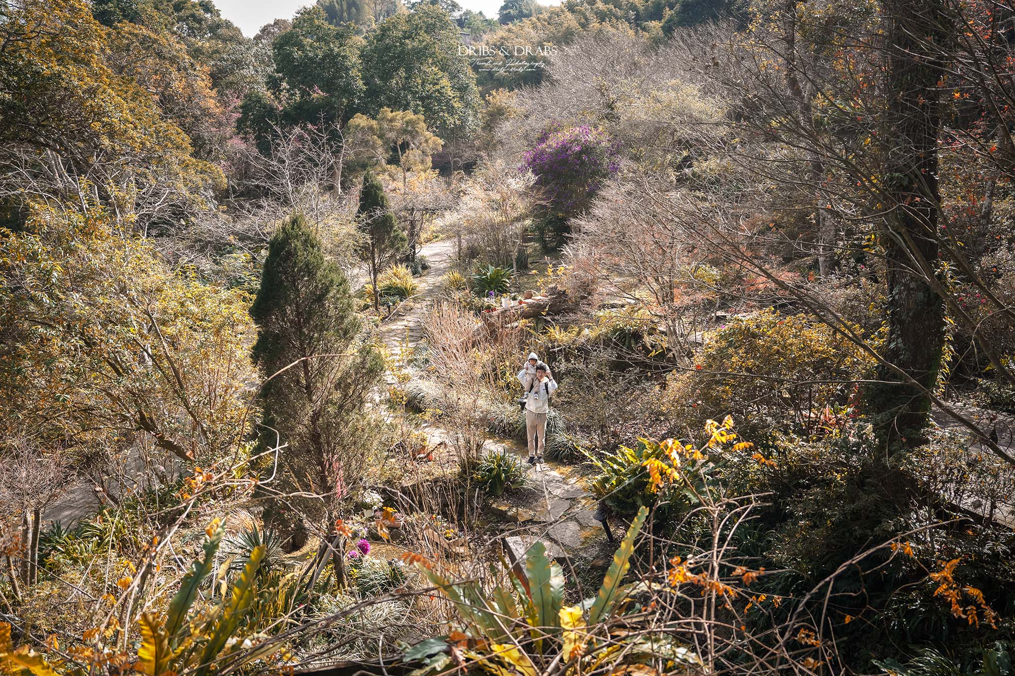 新竹尖石景觀餐廳推薦|拉號花園咖啡廳 (原6號花園) 隱身山林的紅磚玻璃屋,彷彿走進精靈國度 - 第24張圖 新竹尖石景觀餐廳推薦|拉號花園咖啡廳 (原6號花園) 隱身山林的紅磚玻璃屋,彷彿走進精靈國度