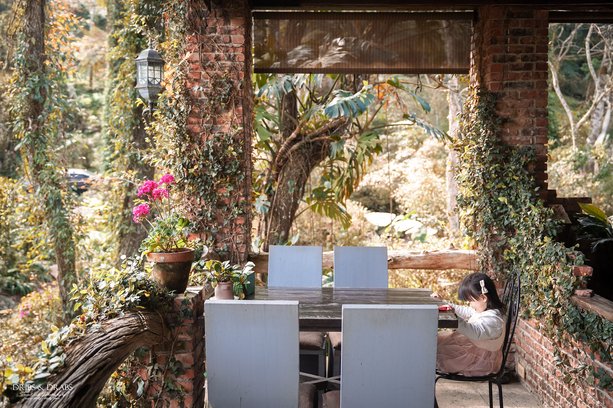 新竹尖石景觀餐廳推薦|拉號花園咖啡廳 (原6號花園) 隱身山林的紅磚玻璃屋,彷彿走進精靈國度 - 第29張圖 新竹尖石景觀餐廳推薦|拉號花園咖啡廳 (原6號花園) 隱身山林的紅磚玻璃屋,彷彿走進精靈國度