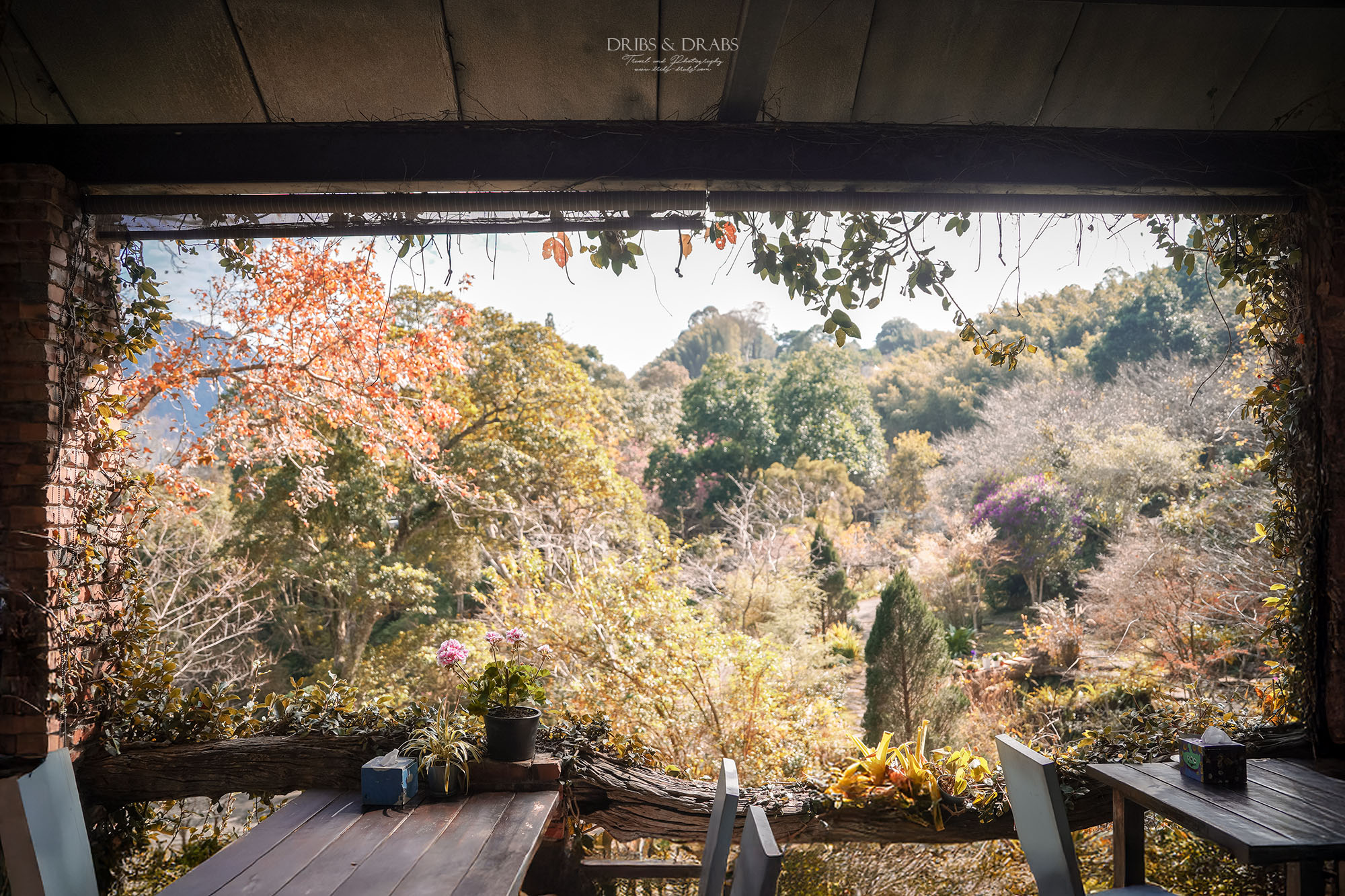 新竹尖石景觀餐廳推薦|拉號花園咖啡廳 (原6號花園) 隱身山林的紅磚玻璃屋,彷彿走進精靈國度 - 第28張圖 新竹尖石景觀餐廳推薦|拉號花園咖啡廳 (原6號花園) 隱身山林的紅磚玻璃屋,彷彿走進精靈國度