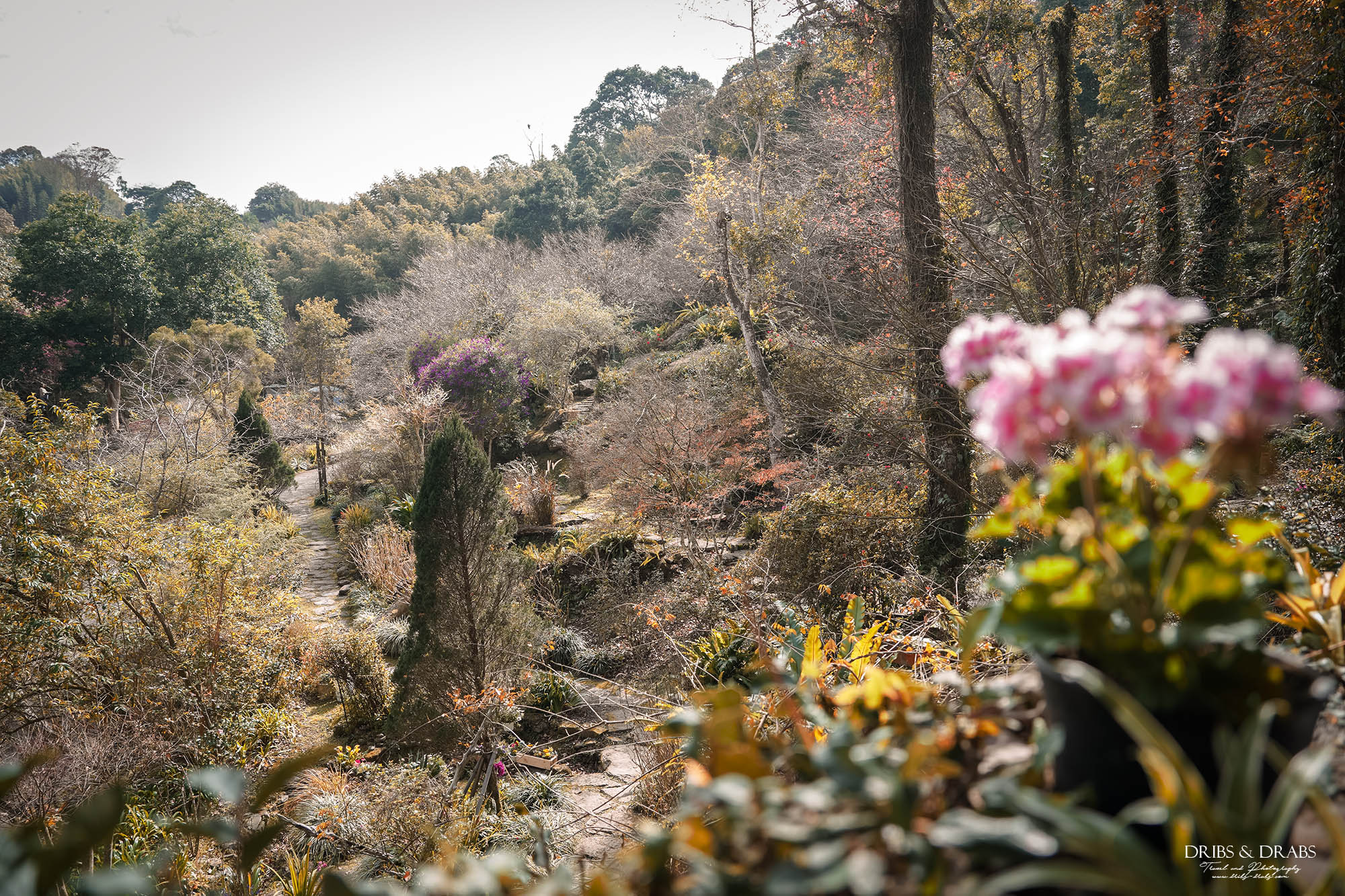 新竹尖石景觀餐廳推薦|拉號花園咖啡廳 (原6號花園) 隱身山林的紅磚玻璃屋,彷彿走進精靈國度 - 第26張圖 新竹尖石景觀餐廳推薦|拉號花園咖啡廳 (原6號花園) 隱身山林的紅磚玻璃屋,彷彿走進精靈國度