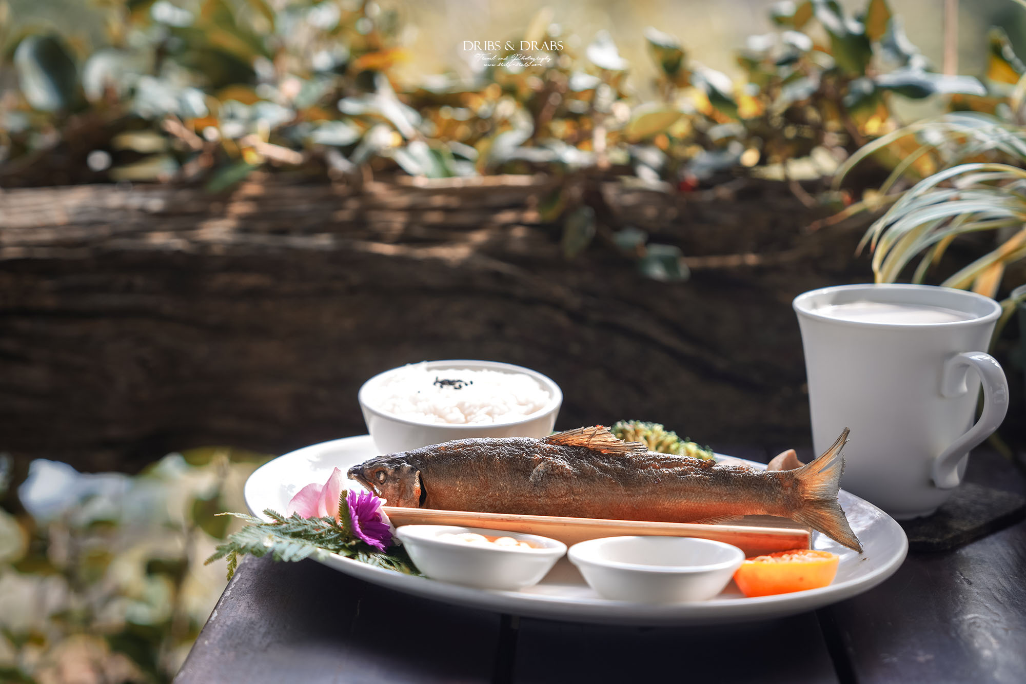 新竹尖石景觀餐廳推薦|拉號花園咖啡廳 (原6號花園) 隱身山林的紅磚玻璃屋,彷彿走進精靈國度 - 第32張圖 新竹尖石景觀餐廳推薦|拉號花園咖啡廳 (原6號花園) 隱身山林的紅磚玻璃屋,彷彿走進精靈國度