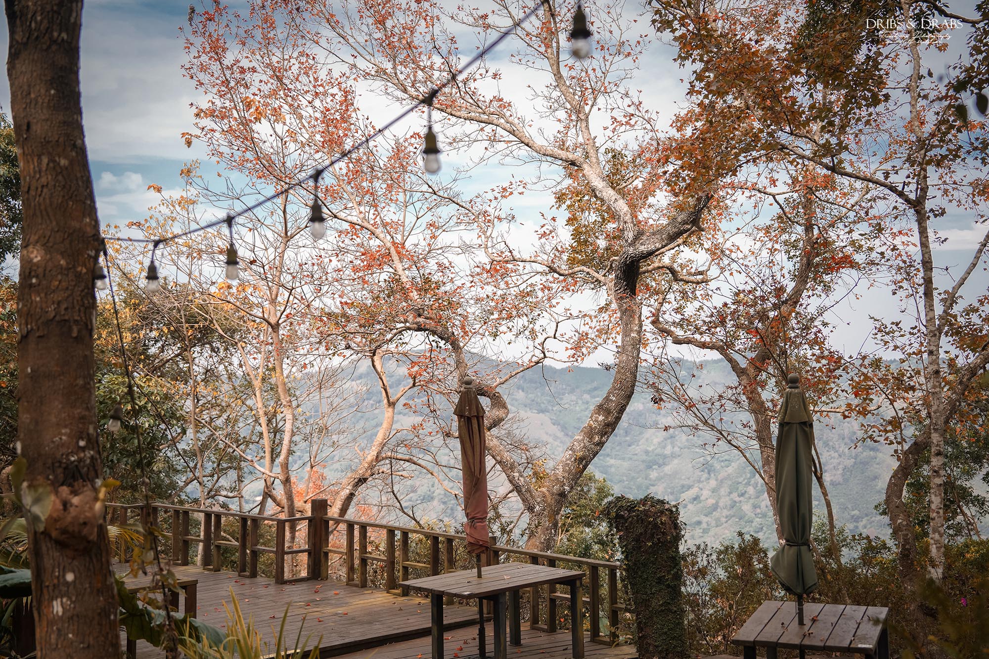 新竹尖石景觀餐廳推薦|拉號花園咖啡廳 (原6號花園) 隱身山林的紅磚玻璃屋,彷彿走進精靈國度 - 第39張圖 新竹尖石景觀餐廳推薦|拉號花園咖啡廳 (原6號花園) 隱身山林的紅磚玻璃屋,彷彿走進精靈國度