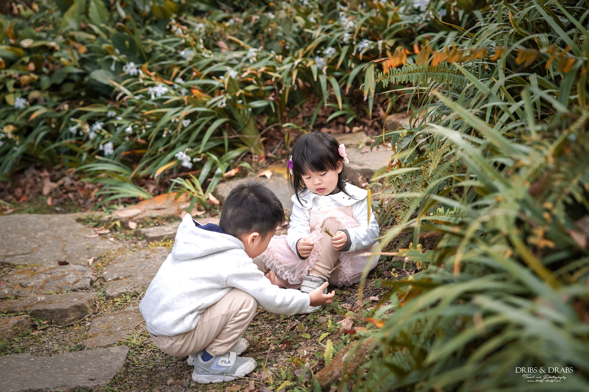 新竹尖石景觀餐廳推薦|拉號花園咖啡廳 (原6號花園) 隱身山林的紅磚玻璃屋,彷彿走進精靈國度 - 第40張圖 新竹尖石景觀餐廳推薦|拉號花園咖啡廳 (原6號花園) 隱身山林的紅磚玻璃屋,彷彿走進精靈國度