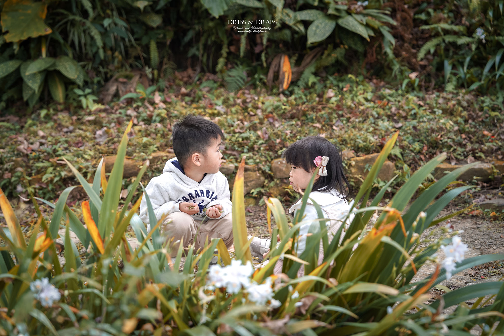 新竹尖石景觀餐廳推薦|拉號花園咖啡廳 (原6號花園) 隱身山林的紅磚玻璃屋,彷彿走進精靈國度 - 第43張圖 新竹尖石景觀餐廳推薦|拉號花園咖啡廳 (原6號花園) 隱身山林的紅磚玻璃屋,彷彿走進精靈國度