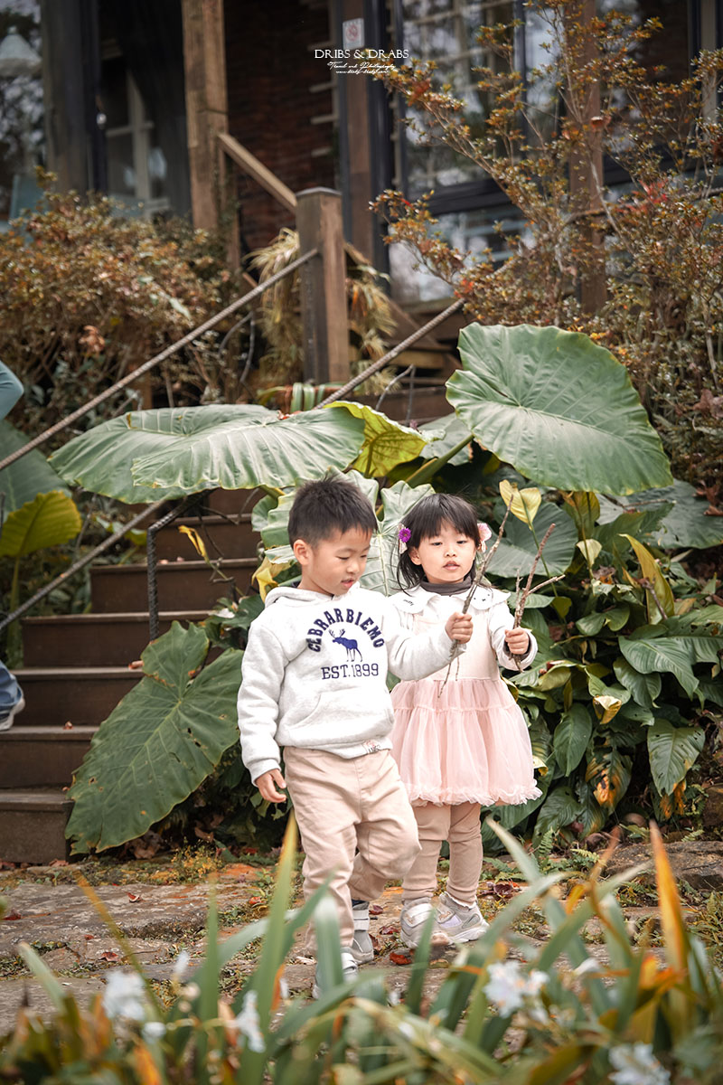 新竹尖石景觀餐廳推薦|拉號花園咖啡廳 (原6號花園) 隱身山林的紅磚玻璃屋,彷彿走進精靈國度 - 第41張圖 新竹尖石景觀餐廳推薦|拉號花園咖啡廳 (原6號花園) 隱身山林的紅磚玻璃屋,彷彿走進精靈國度