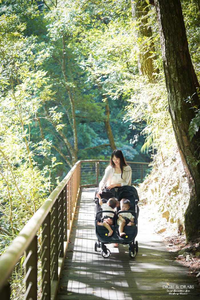 台中八仙山國家森林遊樂區無障礙步道