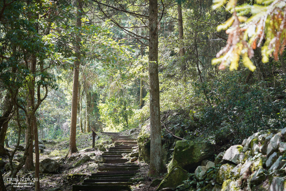 台中八仙山國家森林遊樂區無障礙步道